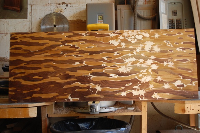 shark progress 5